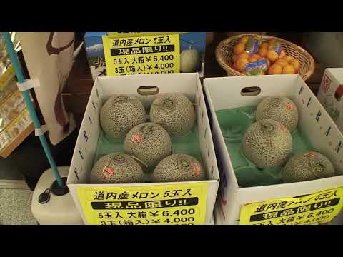 20071017北海道從機場到洞爺湖