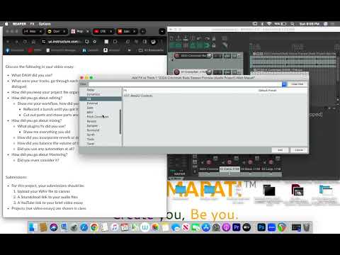 Video Essay Audio Project