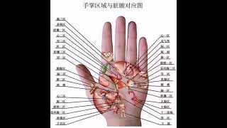 手掌与身体对应图 #关注健康关注我 #手诊知健康 #易