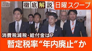 【消費税減税と現金給付】与野党姿勢に温度差 “財源と制度設計”物価高対策の着地は【日曜スクープ】(2025年8月3日)