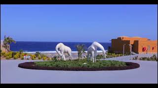 Portofino Vita Resort, Marsa Alam, through our lens 🌴✨