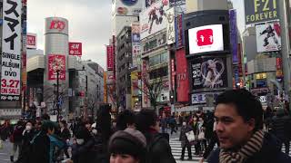 (no sub)2013년의 도쿄 시부야 크로스 / Tokyo Shibuya Cross 2013