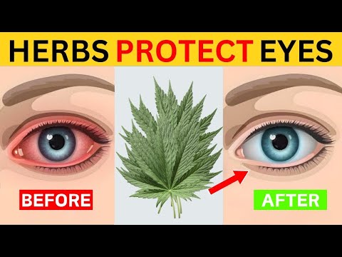 Health Niche Cashcow-Faceless Video