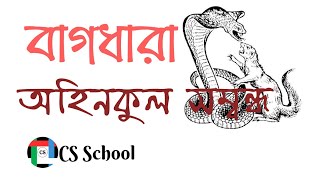 বাংলা বাগধারা || অহিনকুল সম্বন্ধ || সিএস স্কুল
