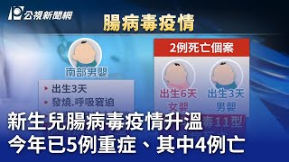 新生兒腸病毒疫情升溫 今年已5例重症、其中4例亡｜20250617 公視晚間新聞