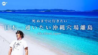 【教えたくない】沖縄No.1？世界No.1?穴場離島・阿嘉島（あかじま）のおすすめ観光スポットがエグすぎた【慶良間諸島・夏休み・民宿・ホテル・ニシバマビーチ・シュノーケリング・慶留間島・外地島】