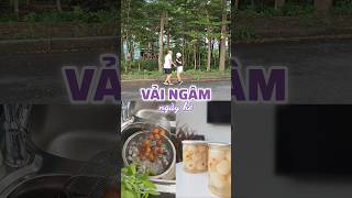MINI VLOG 15: Mùa hè làm món vải ngâm đường phèn. #dailyvlog #cooking #vaingam