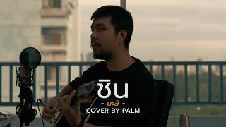 ชิน - มะลิ (Cover by Palm)