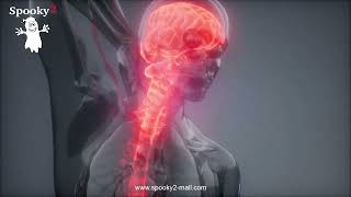 Full Body Healing Frequency | DNA Stimulation & Repair | Cell Regeneration - Spooky2 Rife Frequency