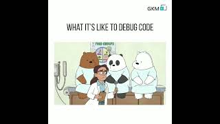 What it is like to debug a code?