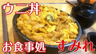 【北海道グルメ旅】絶品ウニ丼・海鮮丼！超人気店すみれのウニ丼が激旨！迷ったらここに行け！