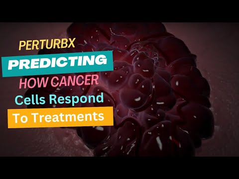 PerturbX Deep Learning Approach: Used For Predicting How Cancer Cells Respond To Treatments