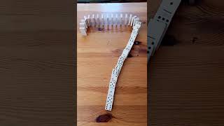 Satisfying #ASMR Domino Falling from 10 to 0