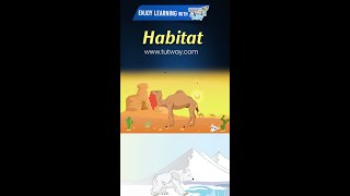 Animal Homes | Animals and their Habitats | Habitat of Animals | Animal Habitats | Science #shorts