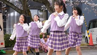 【キッズダンス】 チームもなみ学園 「アイドル」(YOASOBI) 2曲目 鏝絵と下条川千本桜まつり 1日目 横動画 2025年4月5日