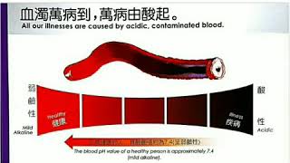 Amlife日本負電位溫療床墊 睡眠充電體驗