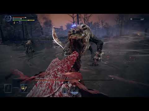 ELDEN RING NIGHTREIGN  Guardian versus Tricephalos