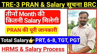 BPSC TRE-3 Salary kab aayegi, TRE-3 Salary, Pran Generation for Bpsc Teacher ‎@TeachingClasses617