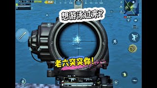 这个故事告诉我，要小心水里啊 #和平精英 #和平精英六周年 #和平精英破刃行动 #玩的就是和平精英 #老六