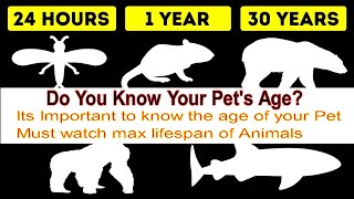 Comparison Animals Lifespans, Animal Age Chart,age of animals list,