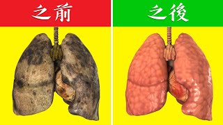 (肺)肺部排毒的4種最好自然療法,柏格醫生 Dr Berg