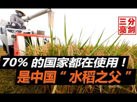 他是中国“水稻之父”？从客观角度来讲，他凭借双手救了全世界的人