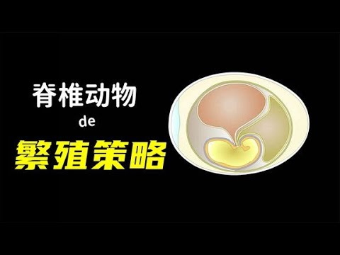 脊椎动物是怎样一步步改进繁殖策略的？