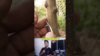 Grafting technique to customize any tree