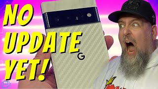 why YOU don't have the Pixel 6 Fingerprint update... yet!