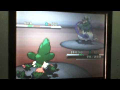 PKMN Wifi Battle #4 "LEFT THE LEFTOVERS!"