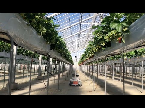 Greenhouse Navigation Robot