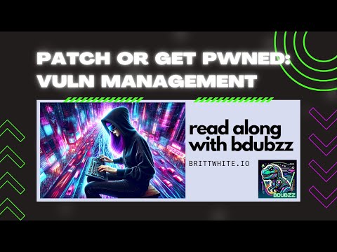 Patch or Get Pwned: Vuln Management 101