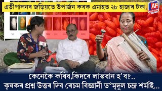 EARN NET 28000/ PER MONTH BY ERICULTURE | SERICULTURE | ASSAM FLASH REPORT