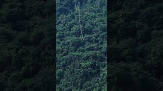 #Zhangjiajie Grand Canyon Glass Bridge Bungee Jump