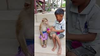 He Treats His Pet Monkey Like a Brother 🥹