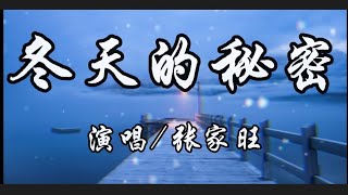 冬天的秘密-张家旺『如果我说我真的爱你 谁来收拾那些被破坏的友谊』动态歌词lyrics 高音质