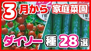 ダイソーの野菜種２８選！完全解説【ポッドキャスト】