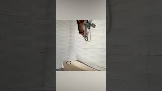 Monkey NANA poops and prepares water for bath #smartmonkey #shorts #monkey #monkeybaby #babymonkey