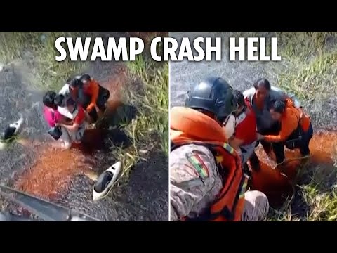Passengers survive 36hrs in alligator-infested swamp after plane crash