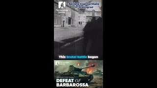 The Turn of the Tide: Stalingrad's Devastating Blow to the Germans!