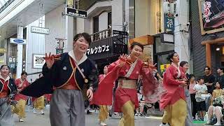 【祭屋よさこい踊り子隊】第71回よさこい祭り～本祭1日目～帯屋町演舞場(2024/8/10)