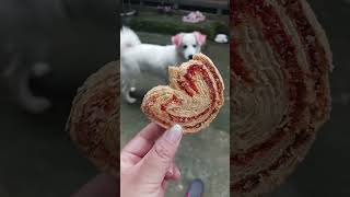 Biscuit #shorts #dailyvideo #foryou