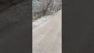 #природа #прогулянка
