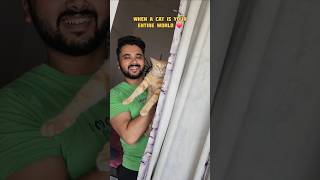 Every cat lover can understand❤️ - Its not just a cat🙂 #cat #catlovers #cutecats #catshorts #cats