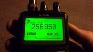 SATCOM 256.950 ☠ Russian QSO