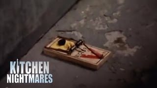 Gordon Shuts Down Roach-Infested Kitchen! | Kitchen Nightmares