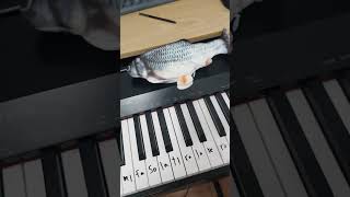 lin gan guliguli #piano