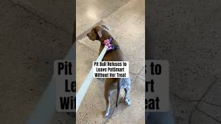 Pit Bull Refuses to Leave PetSmart Without Her Treat #pitbullsofficial #dogshorts #bullybreed