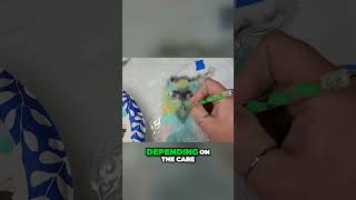 Transform your stencil art with a Dotting tool!!! #crafts #diy #diycrafts #stencilart