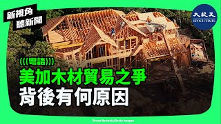 北美地區持續時間最長的國際貿易爭端之一又回到了人們的視線之中：美國正在重新考慮如何處理大量從加拿大進口的軟木木材。| #新視角聽新聞 #香港大紀元新唐人聯合新聞頻道